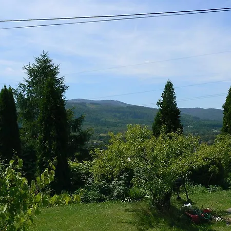 Noclegi W Ksiegarni Apartment Bielsko-Biala