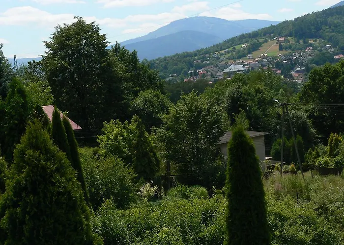 W Ksiegarni * ביילסקו-ביאלה