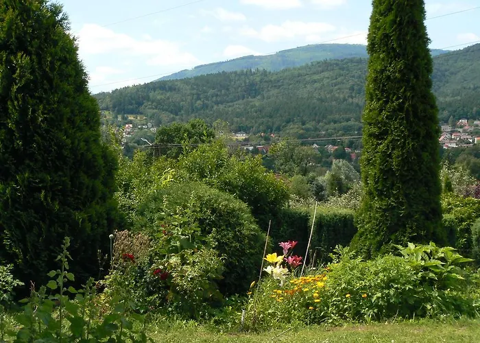 דירה W Ksiegarni