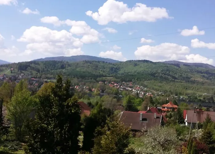 W Ksiegarni ביילסקו-ביאלה